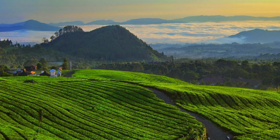 10 Wisata Subang 2023 Yang Wajib Kamu Kunjungi Bareng Keluarga Dan