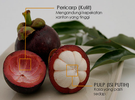 Ini Dia Manfaat Kulit Manggis Untuk Kesehatan Pasundan Ekspres