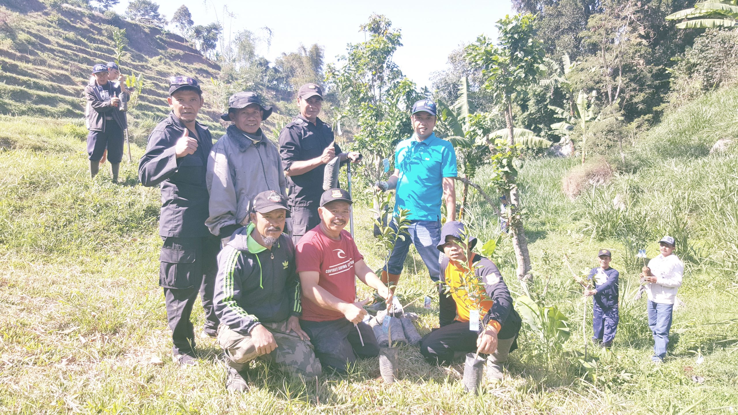 Pemdes Cikahuripan Tanam Seribu Pohon Jeruk di Jalur Wisata