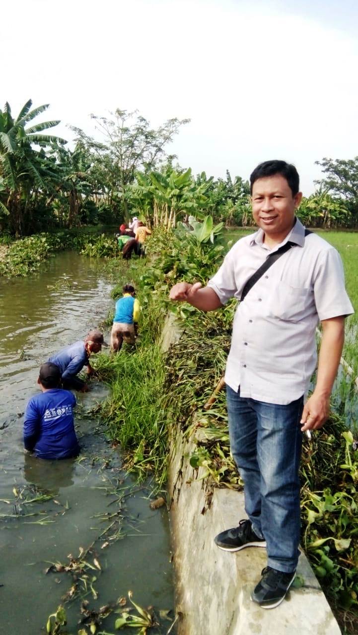 Normalisasi Kali Mataram Dorong Produksi Padi