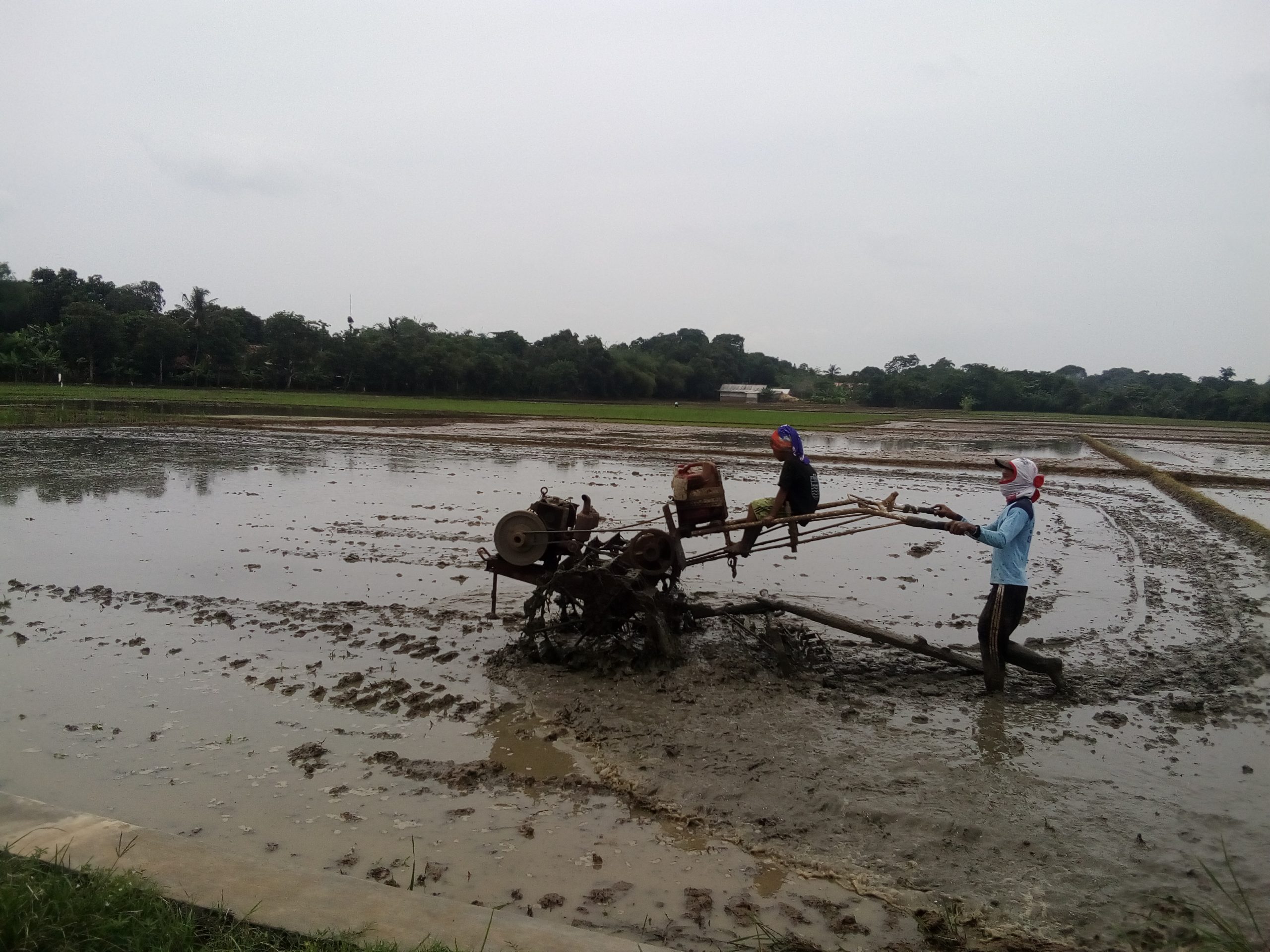 Bantuan Alat Pertanian Timbulkan Masalah