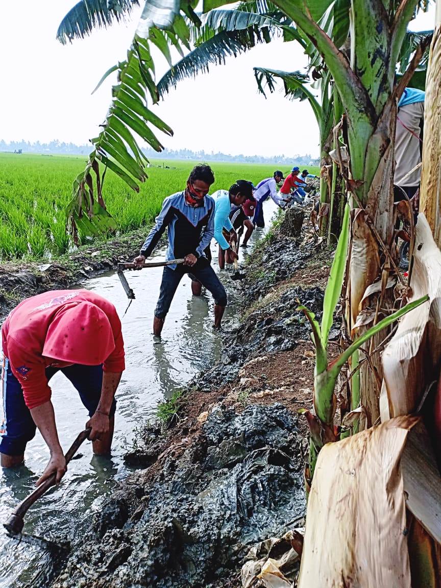 Pemdes Lengkongjaya Normalisasi Saluran Tersier