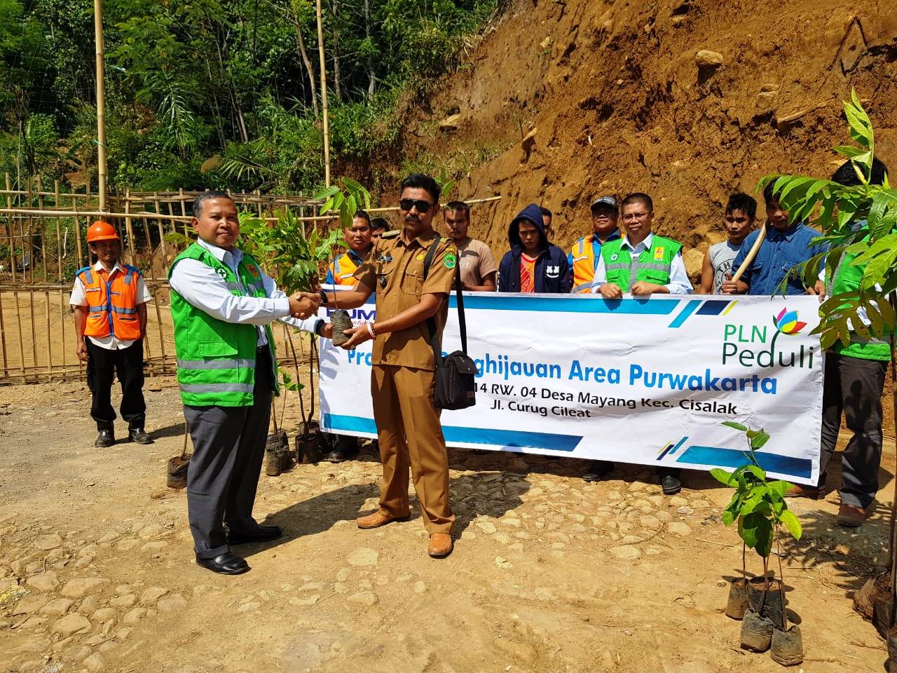 Siaga Menjelang Musim Hujan, PLN Tanam Pohon di Area Rawan Longsor