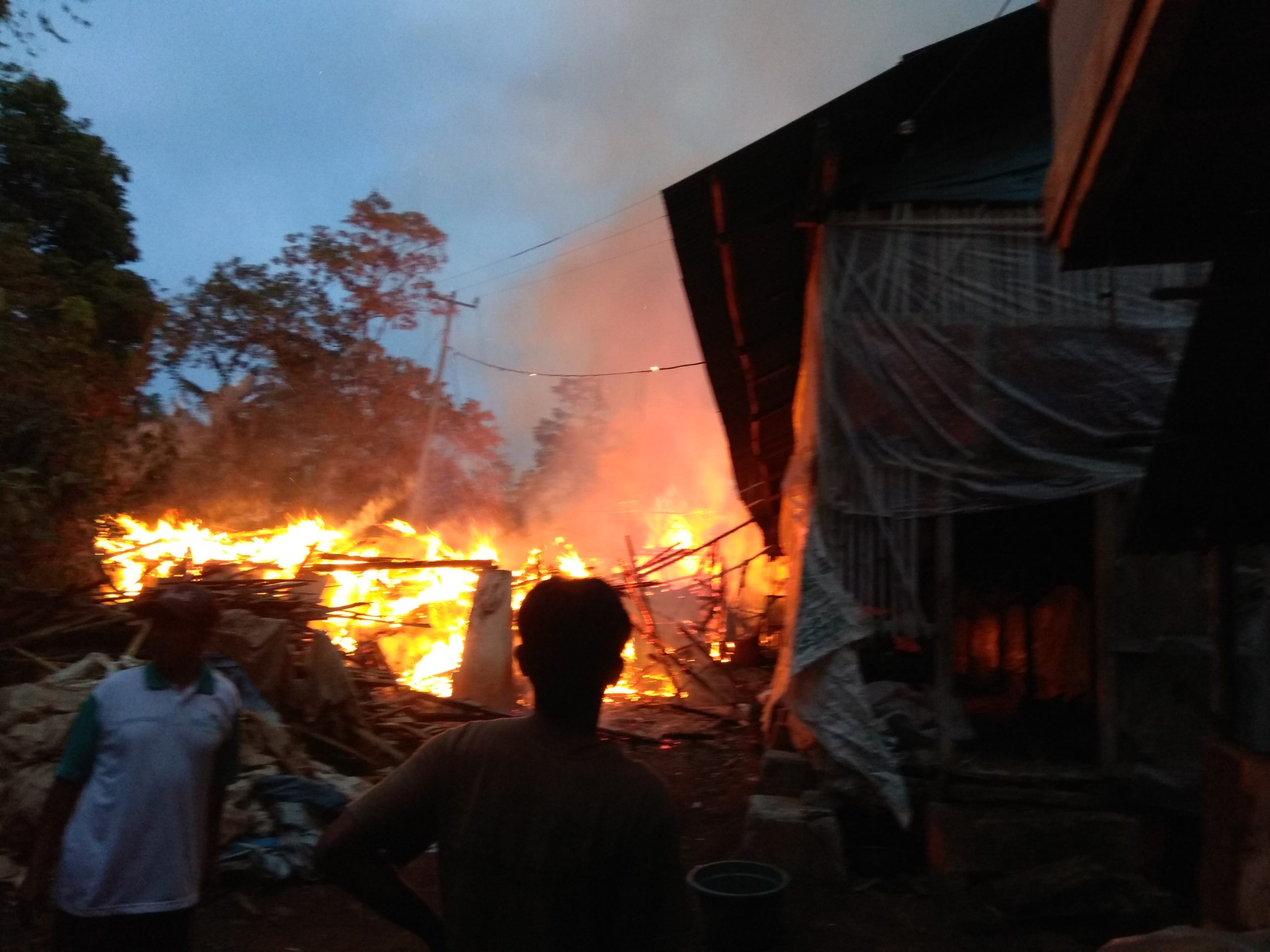 Kandang di Cijambe Terbakar, 7.000 Ekor Ayam Terpanggang