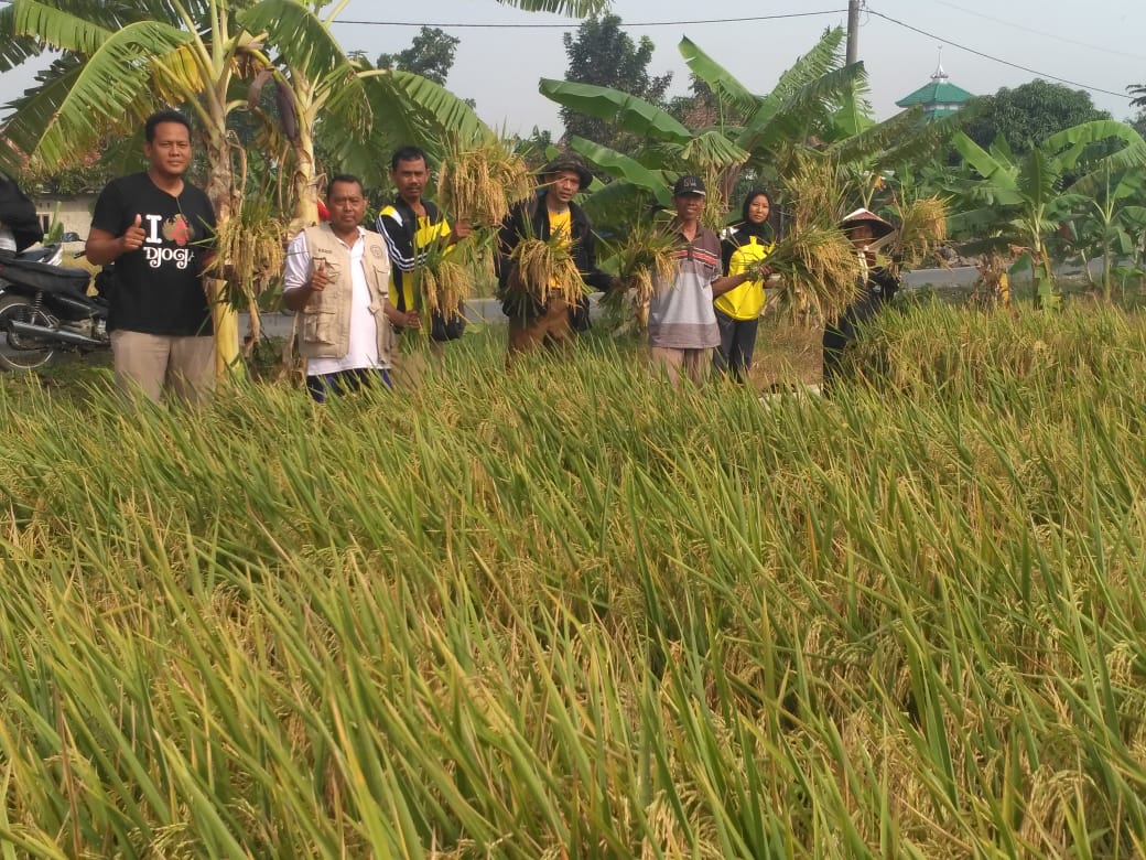 Program Adaptasi Petani Jatireja,