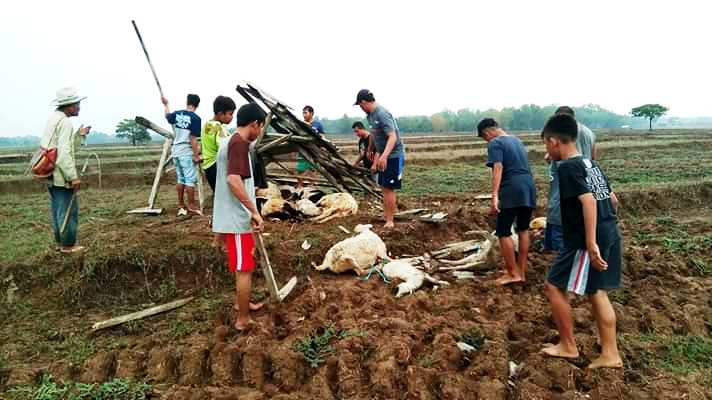 Tiga Orang Gembala Tersambar Petir