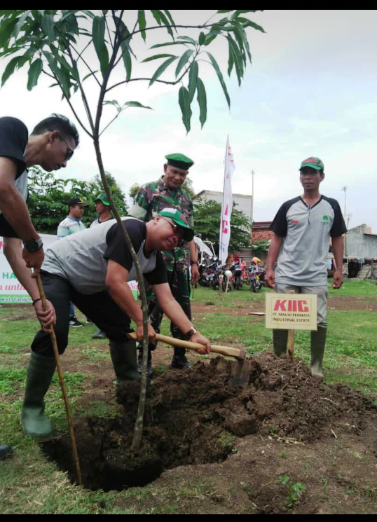 Program Penghijauan, KIIC Tanam Seribu Bibit Pohon