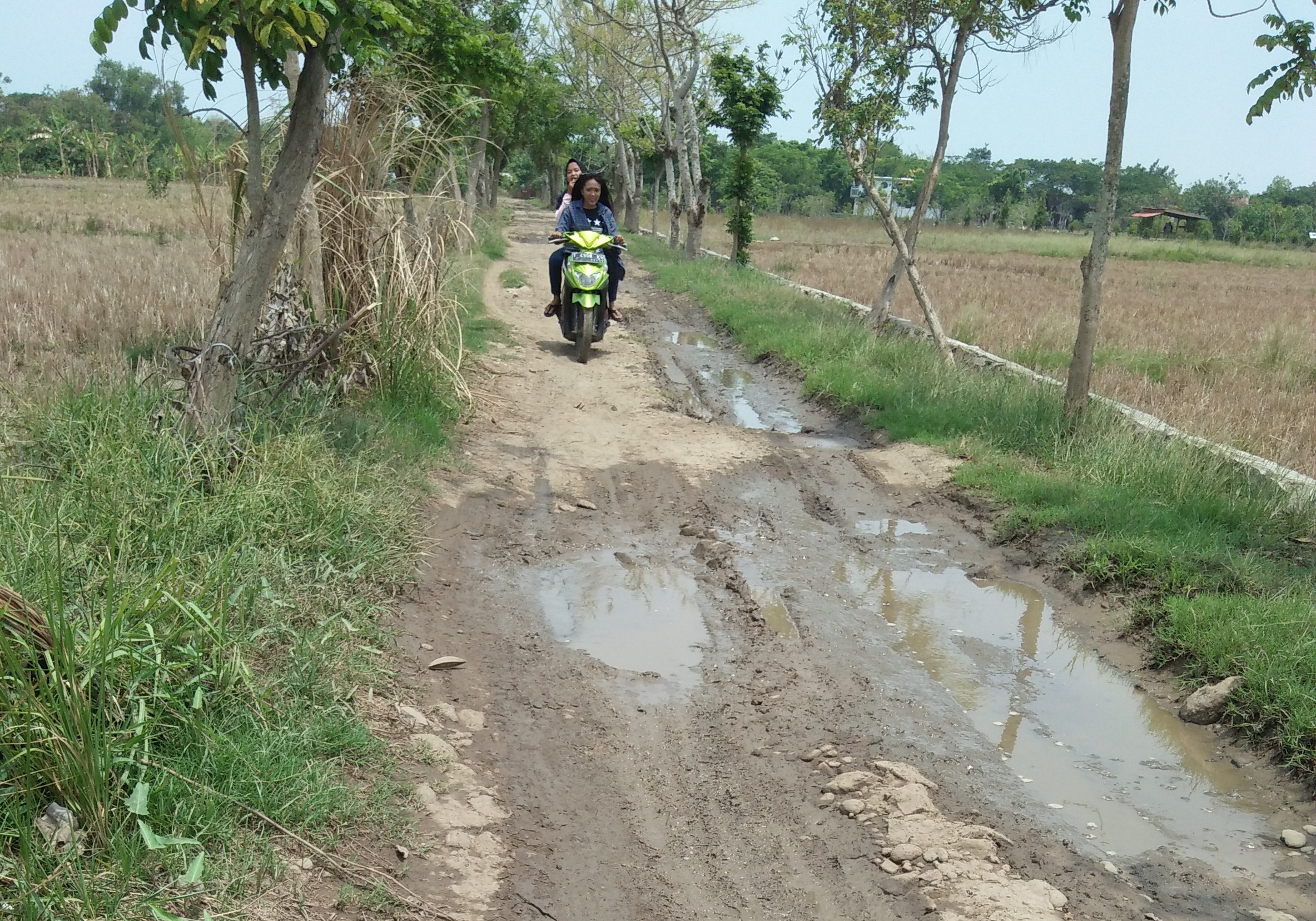 Jalan ke Objek Wisata Greenthink Rusak Parah, Warga Memilih lewat Karawang