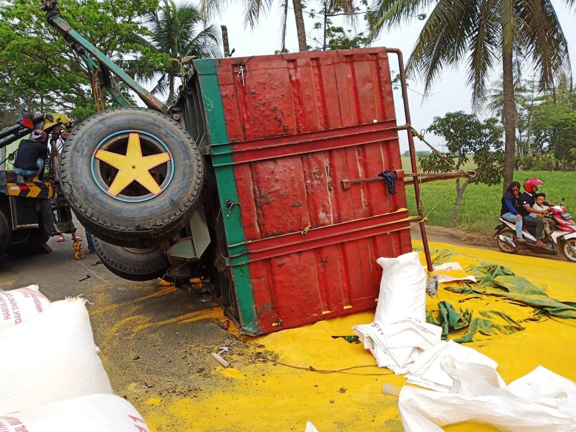 Kopel Putus Truck Gandengan Terguling, Muatan Bahan Pakan Ternak Penuhi Jalan