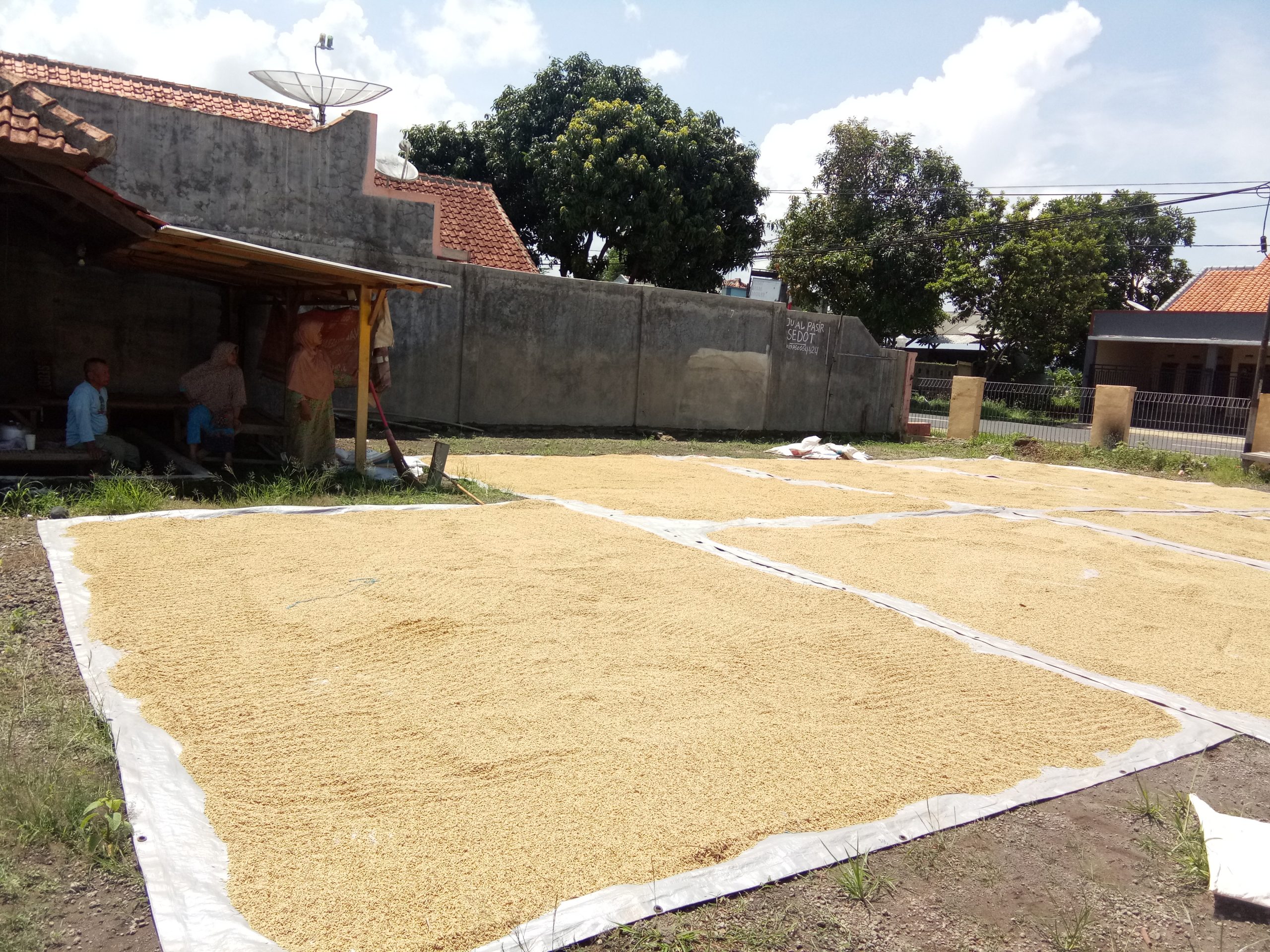 Banyak Pabrik, Petani Kehilangan Pekerja