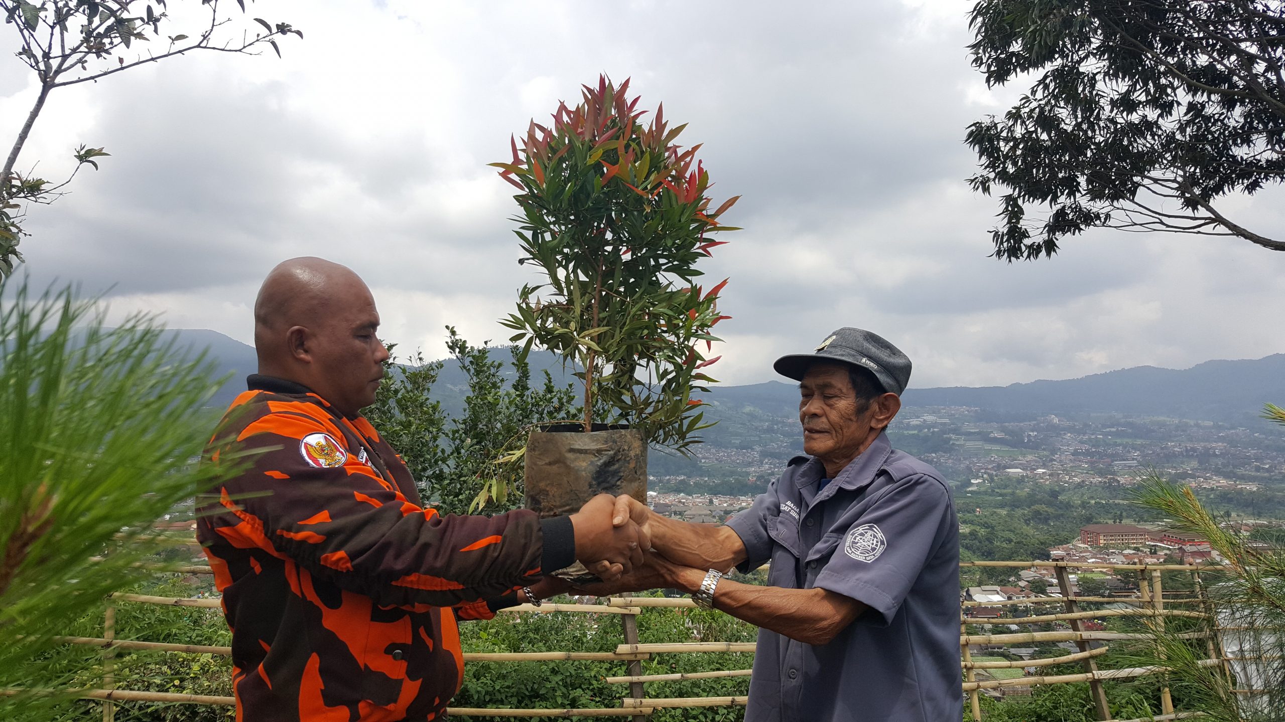 Tanam Bibit Pohon di Puncak Gunung Batu, Pemuda Pancasila Komitmen Jaga Alam