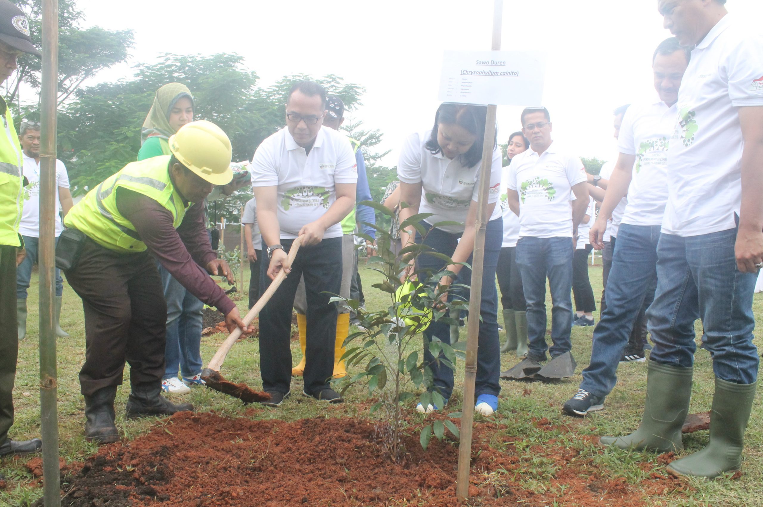 Area Tol Cipali Akan Ditanami 6.000 Pohon