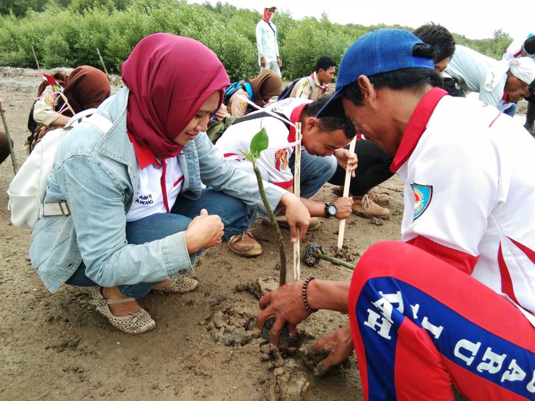 Bela Negara Melalui Tanam Ribuan Pohon Mangrove