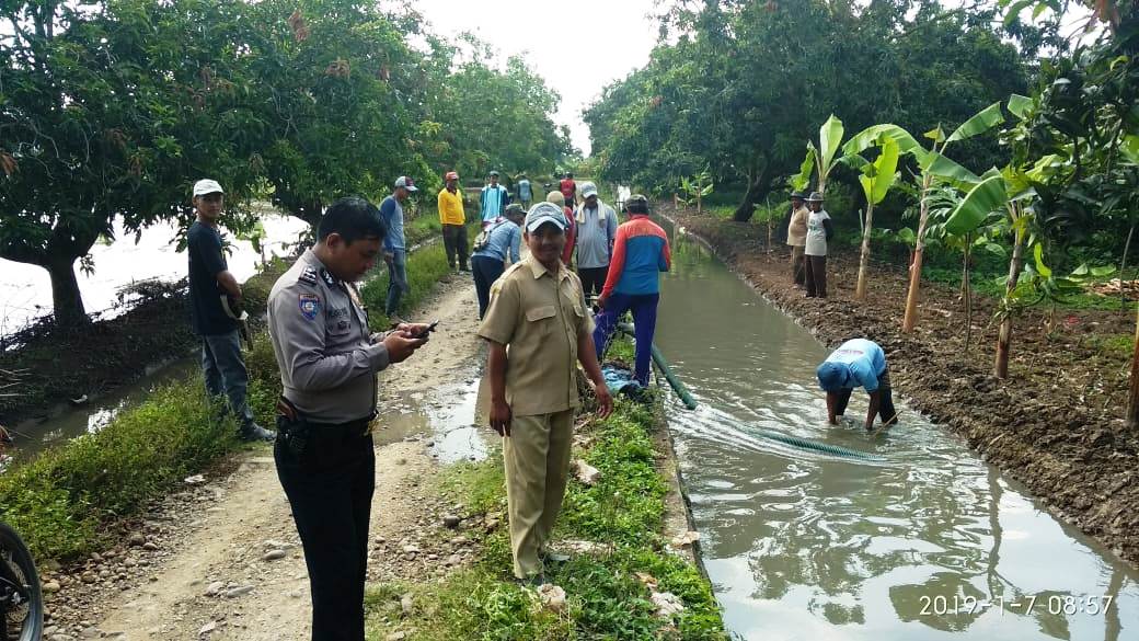 Sambut Musim Tanam, Petani Gropyokan Tikus Amankan Produksi Padi