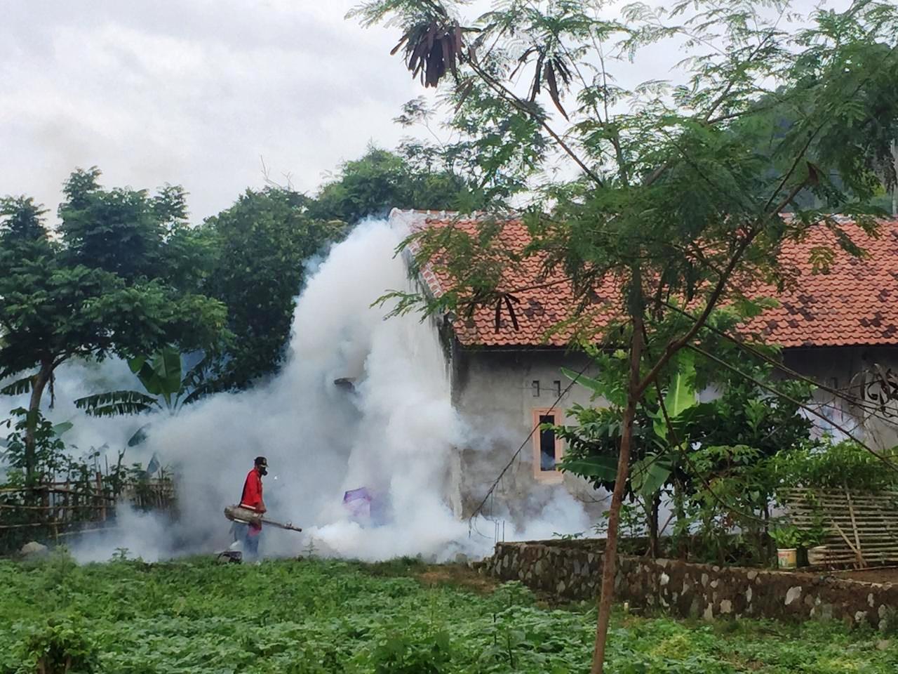 Cegah DBD dengan Prilaku Bersih dan Sehat