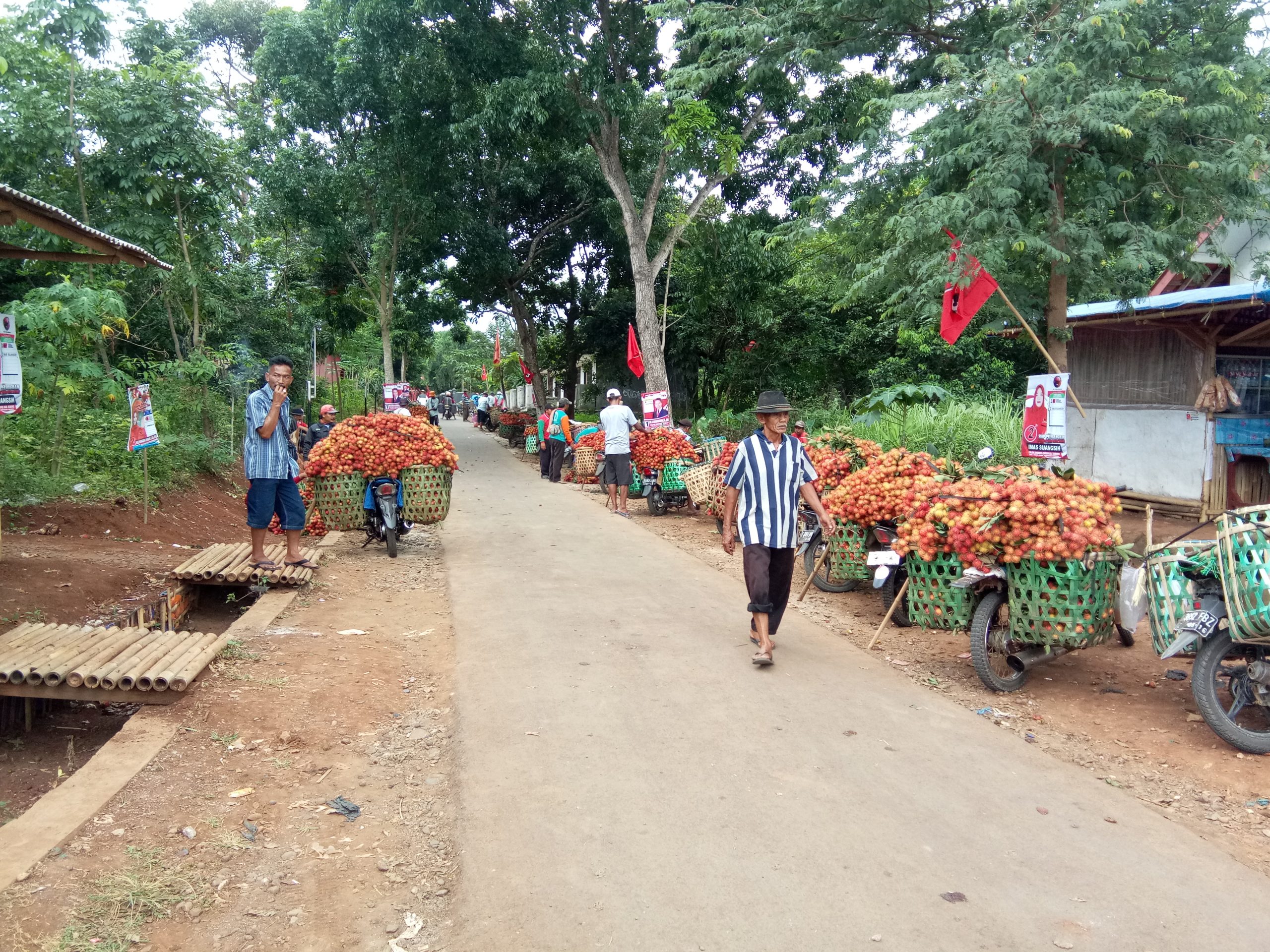 Mengadu Nasib di Pasar Rambutan