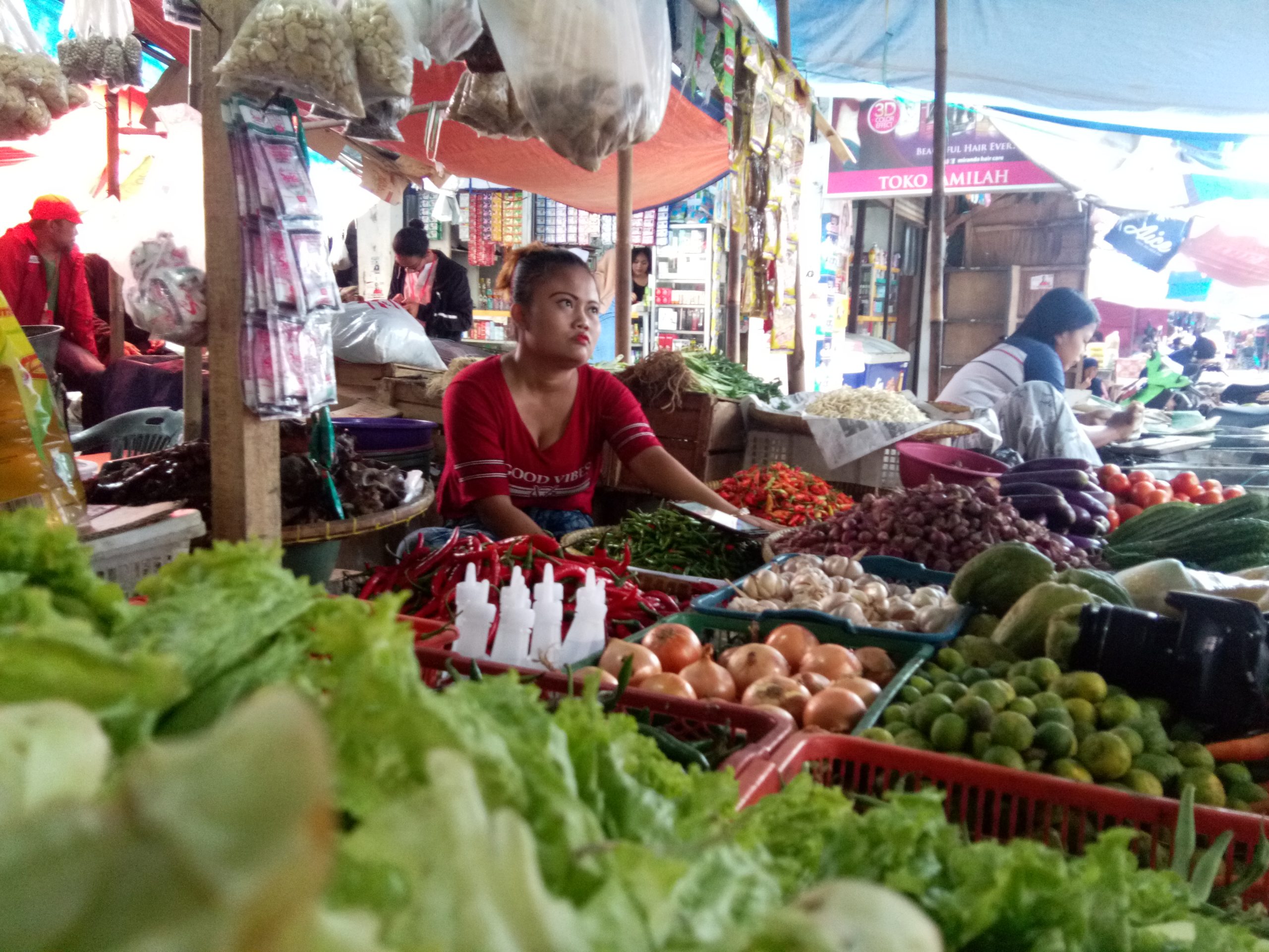 Harga Sayur Mayur Belum Stabil