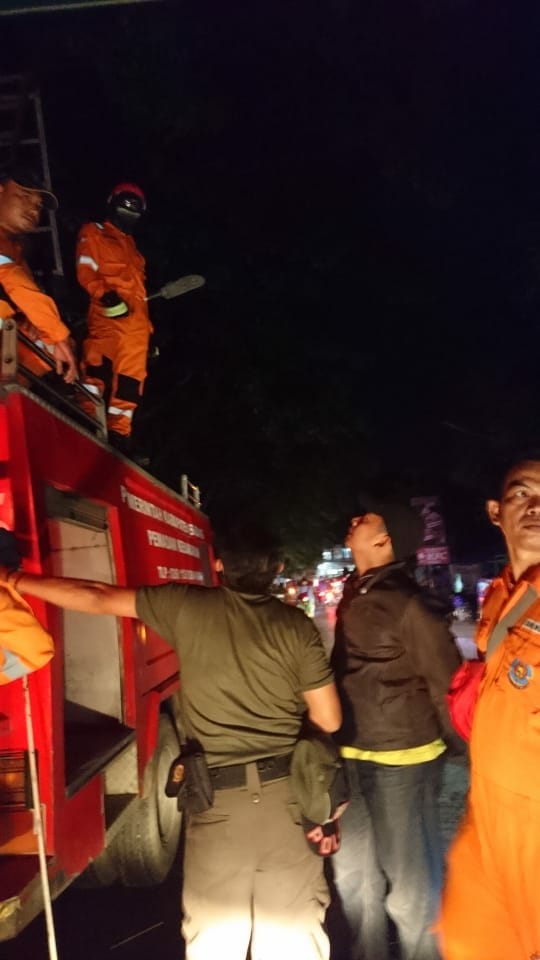 Berbahaya, BPBD Terima Laporan 10 Sarang Tawon