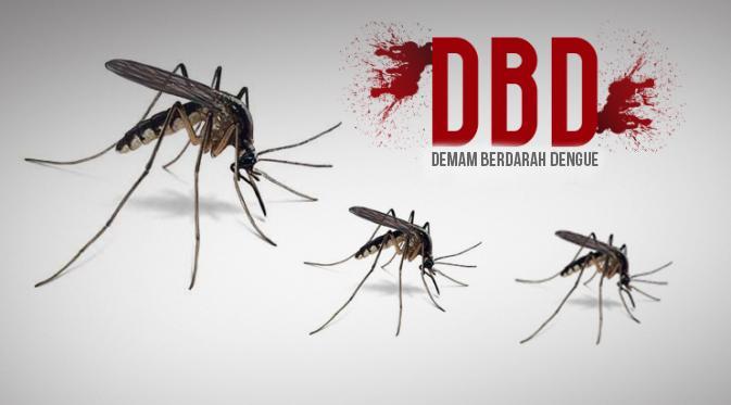 Ratusan Warga Terjangkit DBD, Masyarakat KBB Diminta Waspada