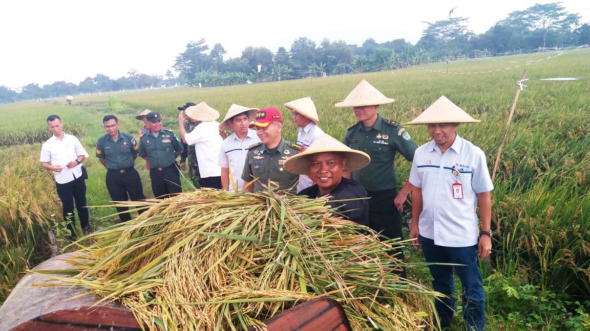 Tahun ini, Bulog Akan Bangun Mesin Rice To Rice