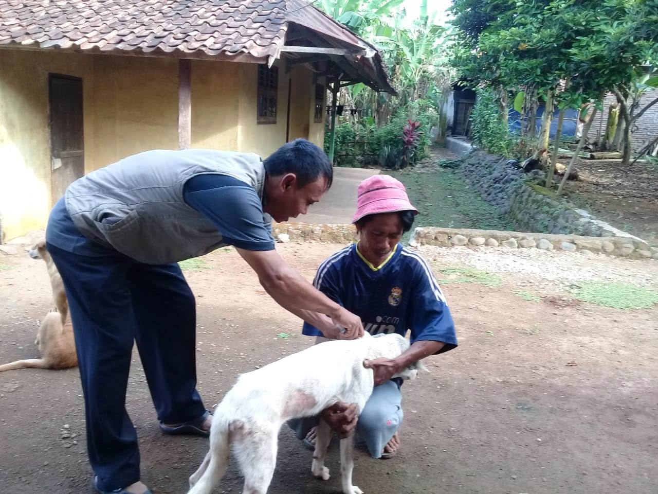 Tidak Ada Kasus Gigitan Anjing Rabies Sejak 1995