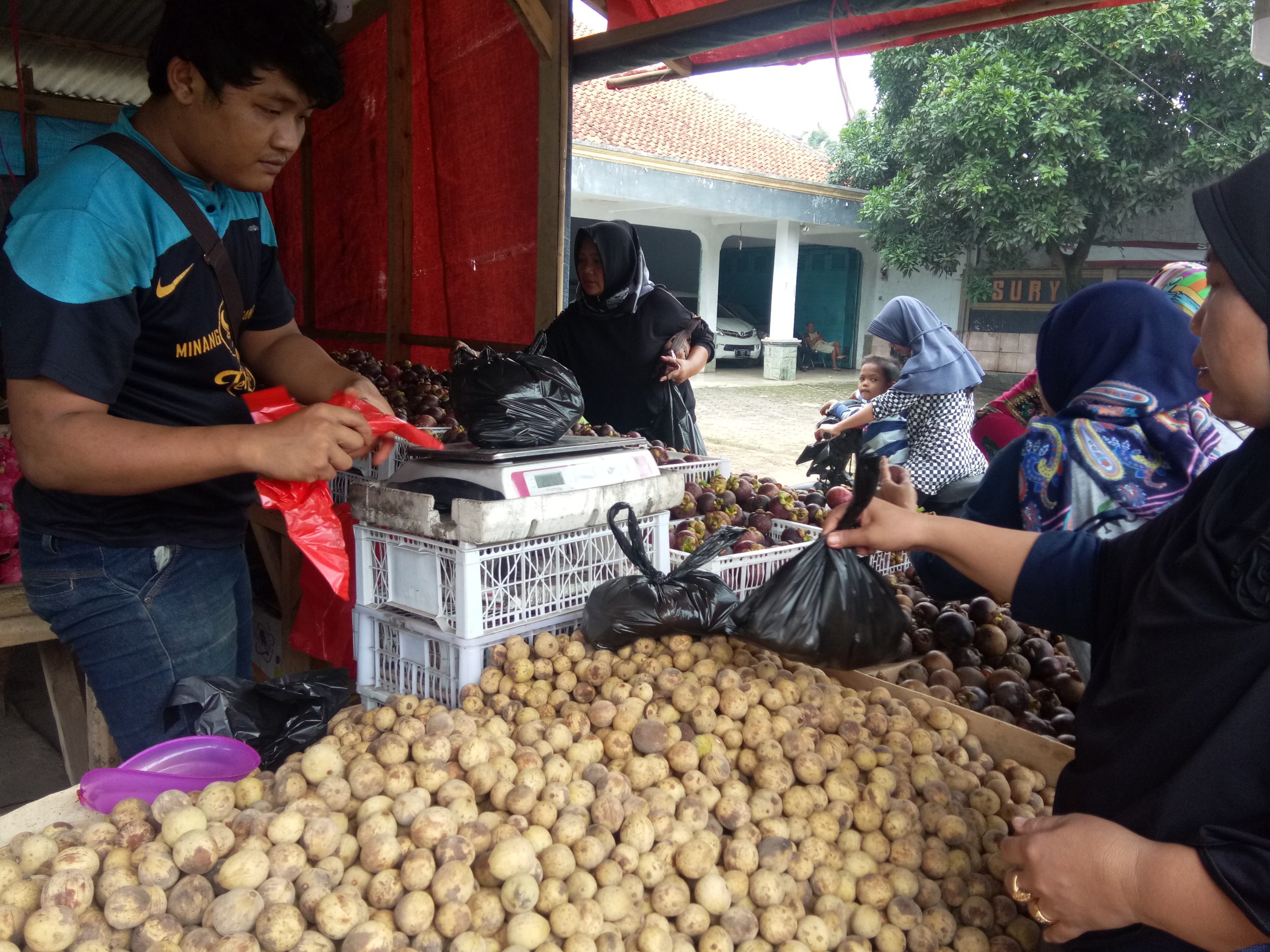 Harga Duku Merosot, Pedagang Tetap Untung