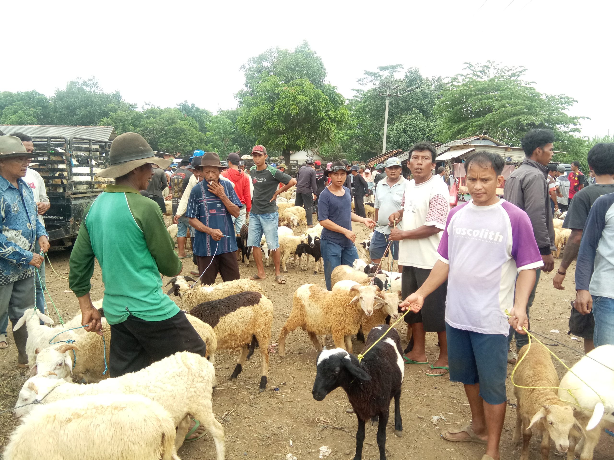 Pasar Hewan Purwadadi Terbesar di Jawa Barat