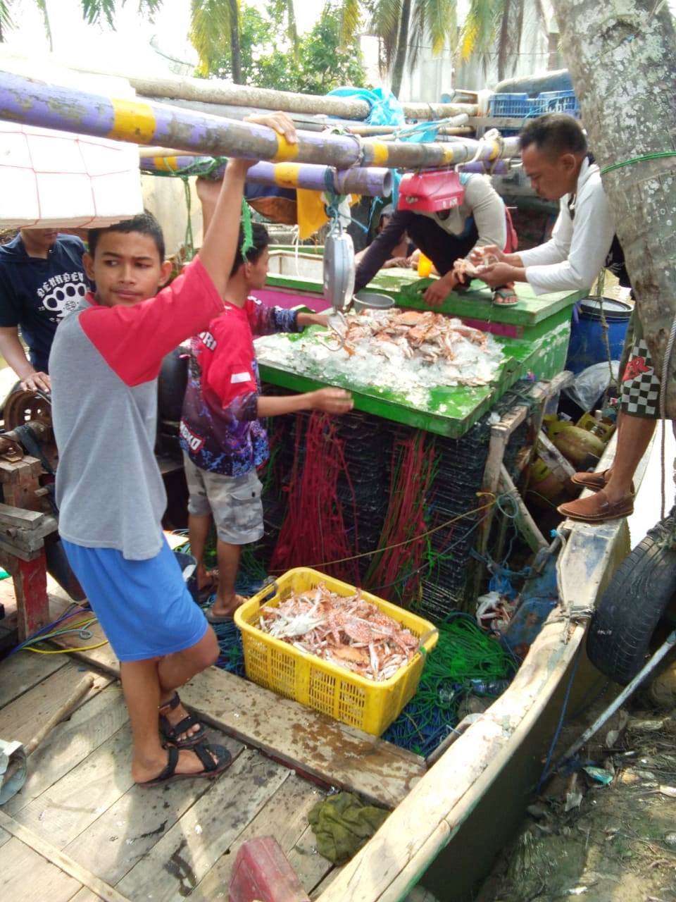 Tak Melaut, Nelayan Nyambi jadi Kuli dan Tani