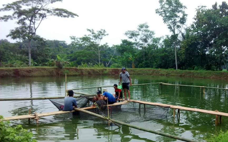 Pemdes Mekarwangi Kembangkan BUMDes Bersama UMKM