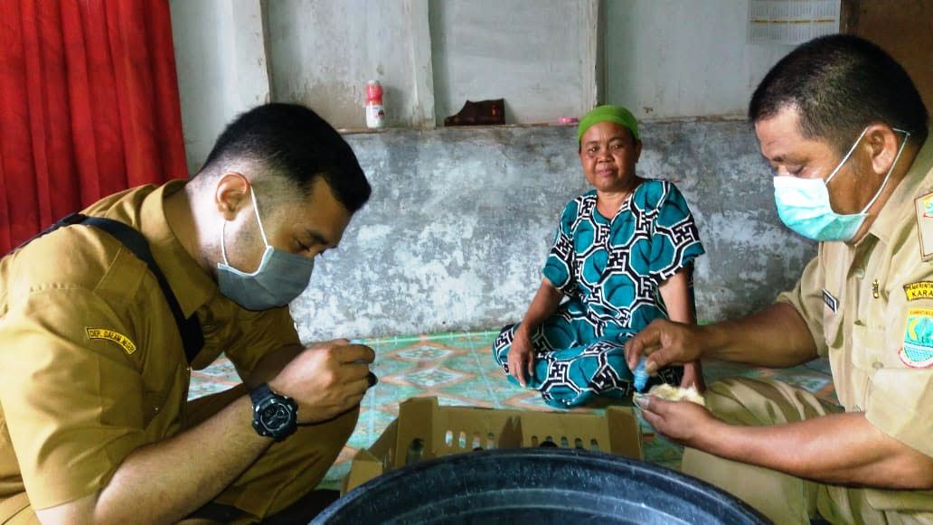 Dinas Pertanian Vaksin 18.000 Anak Ayam