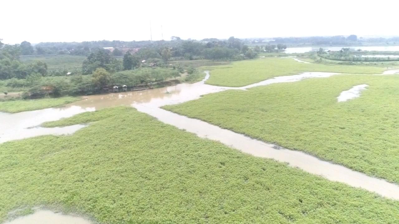 Mulai Dangkal, Warga Minta Situ Saradan Dinormalisasi