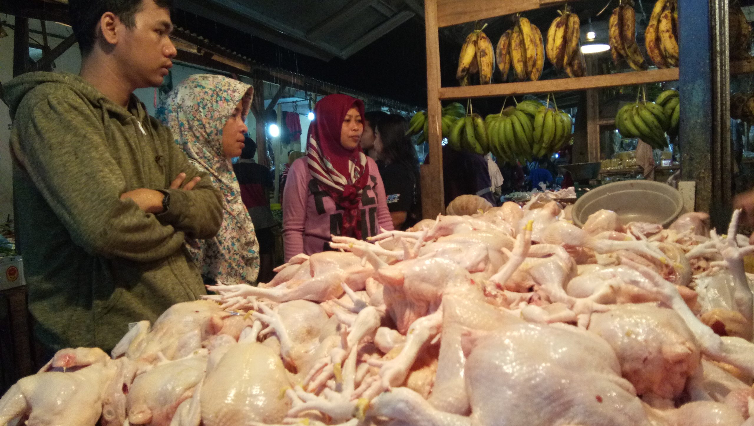 Harga Daging Ayam Diprediksi Terus Meroket