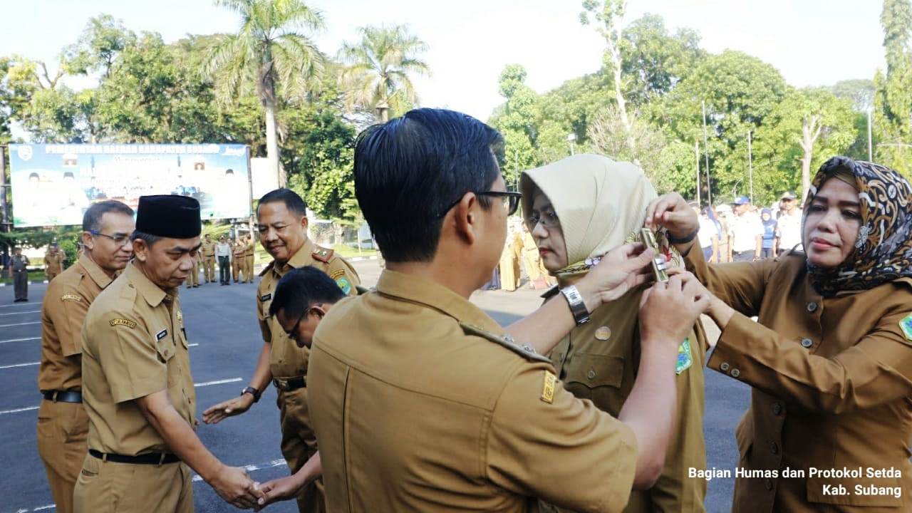 Wabup Agus Sematkan Tanda Pangkat ASN