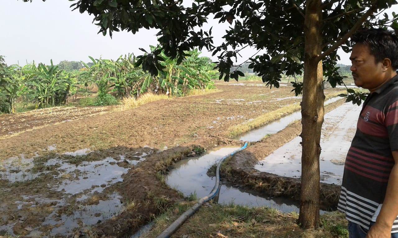 Petani Lemahabang Keluhkan Pasokan Air