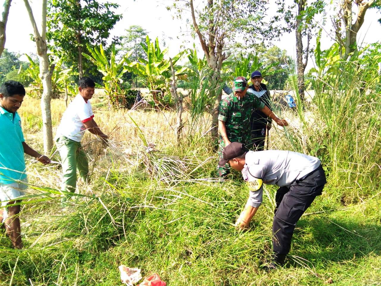 Sambut HUT RI, Pemdes Bobos Bersihkan Lapangan