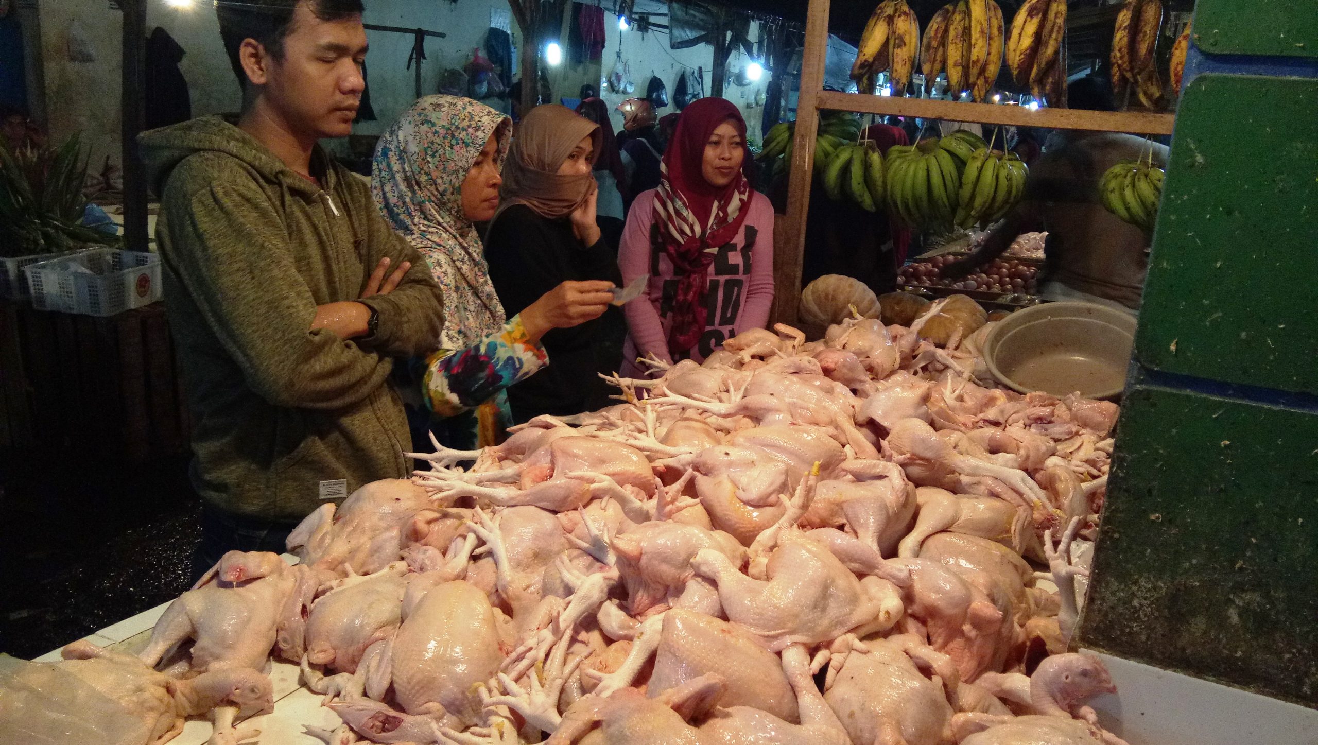 Pasca Lebaran Harga daging Ayam Normal