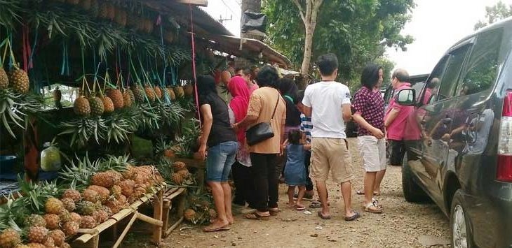 Nanas Penghilang Ngantuk Pemudik dan Wisatawan