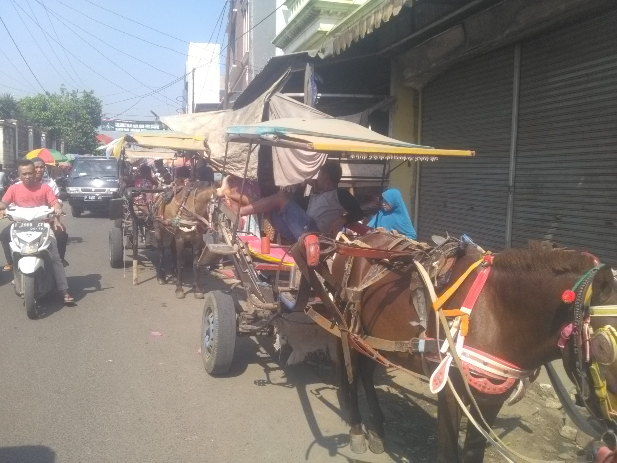 Tergerus Perkembangan Zaman, Delman Khas Plered Nyaris Punah