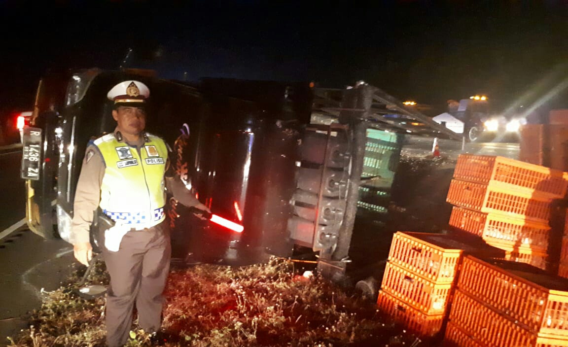 Bus Nyebrang Jalur, Tabrakan Beruntun di Tol Cipali, 12 Orang Tewas