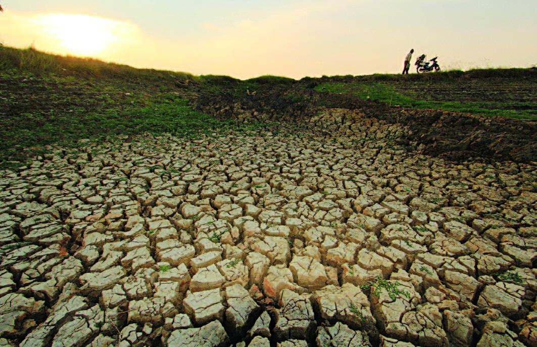 Belasan Hektare Sawah di Tegalwaru Kekeringan hingga Gagal Panen