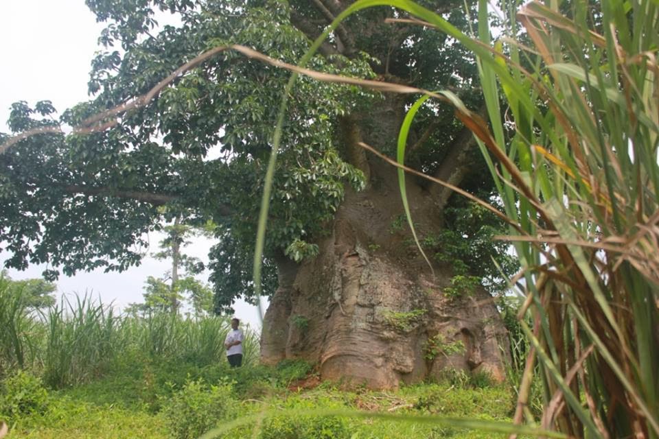 Warga Tolak Pemindahan Ki Tambleg