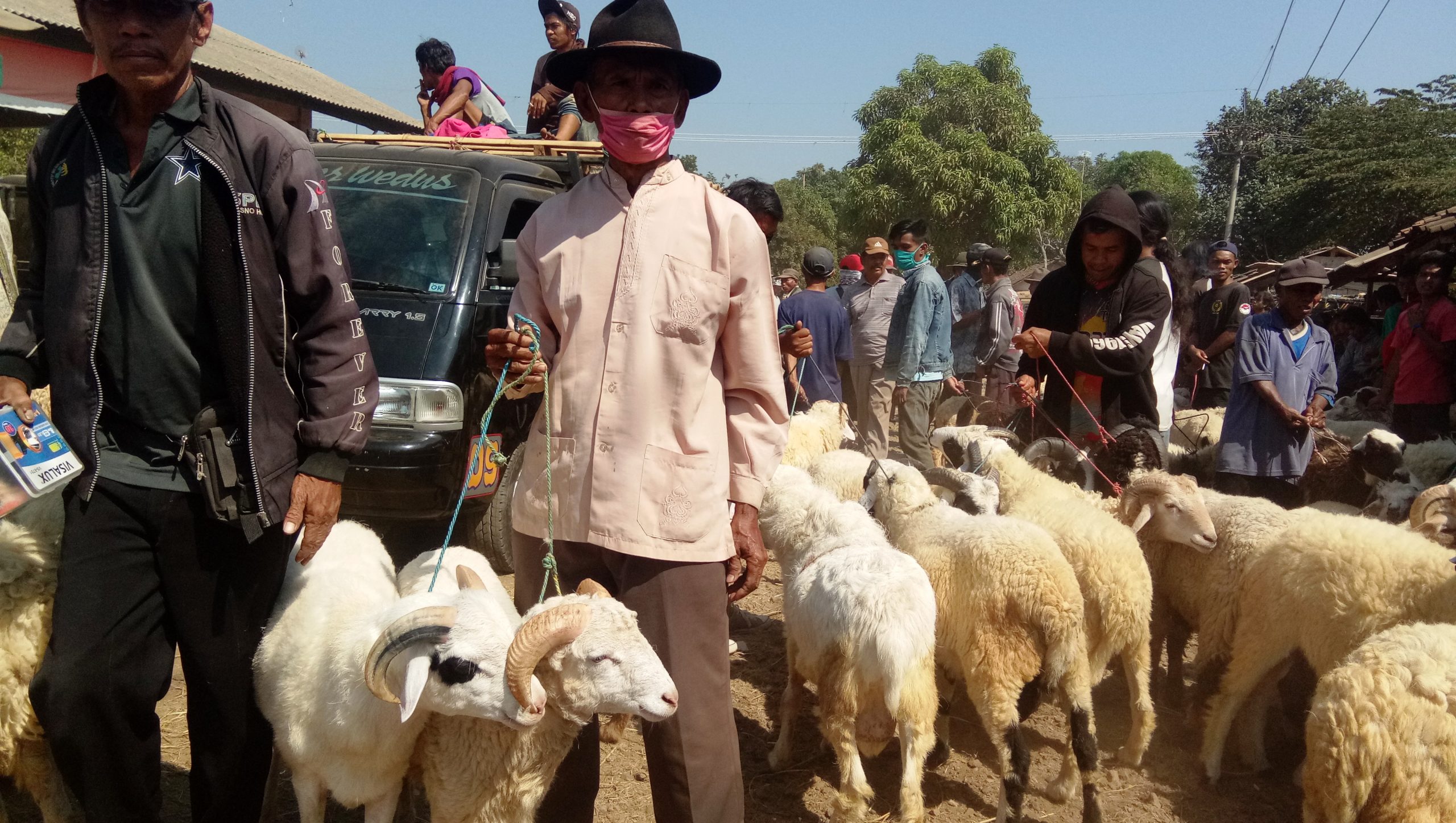 Jelang Lebaran Haji, Penjualan Hewan Qurban Melonjak