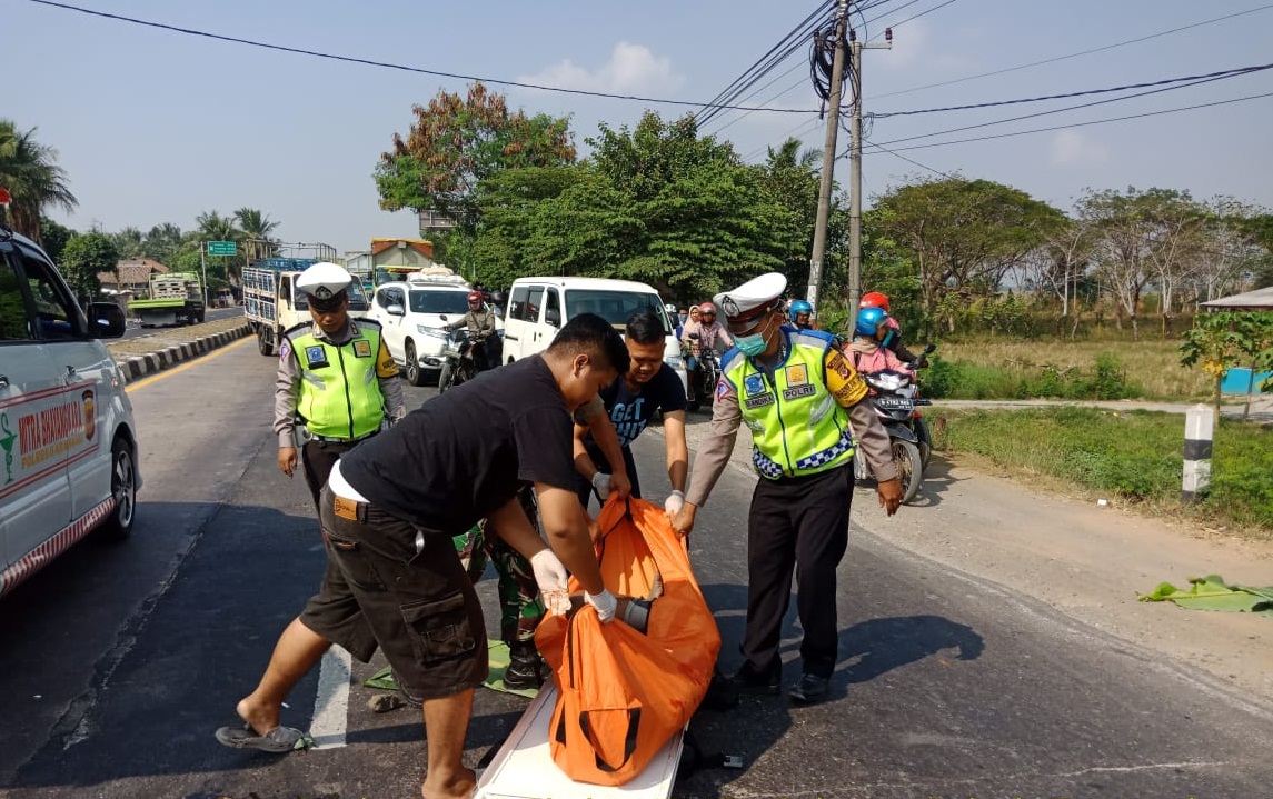 Hendak Nyebrang Seorang Pria tanpa Identitas Diseruduk Pick Up