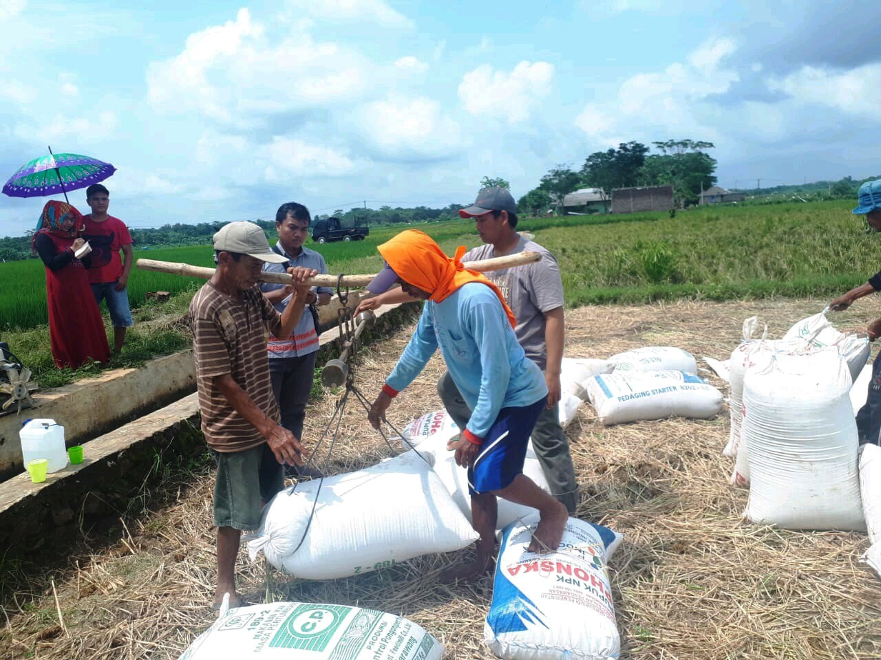 Stok Beras Bulog Aman, Cukup untuk 12 Bulan