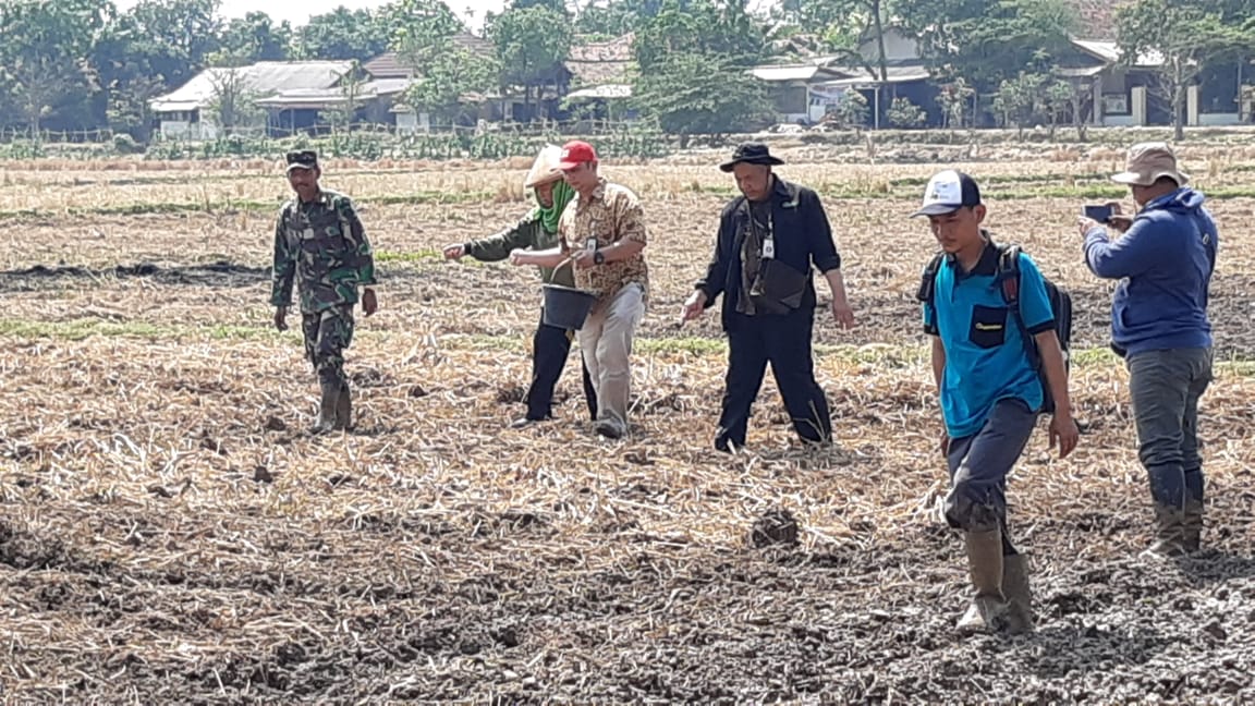 Petani di Desa Pusakaratu Mulai Tabur Benih Padi Gogo