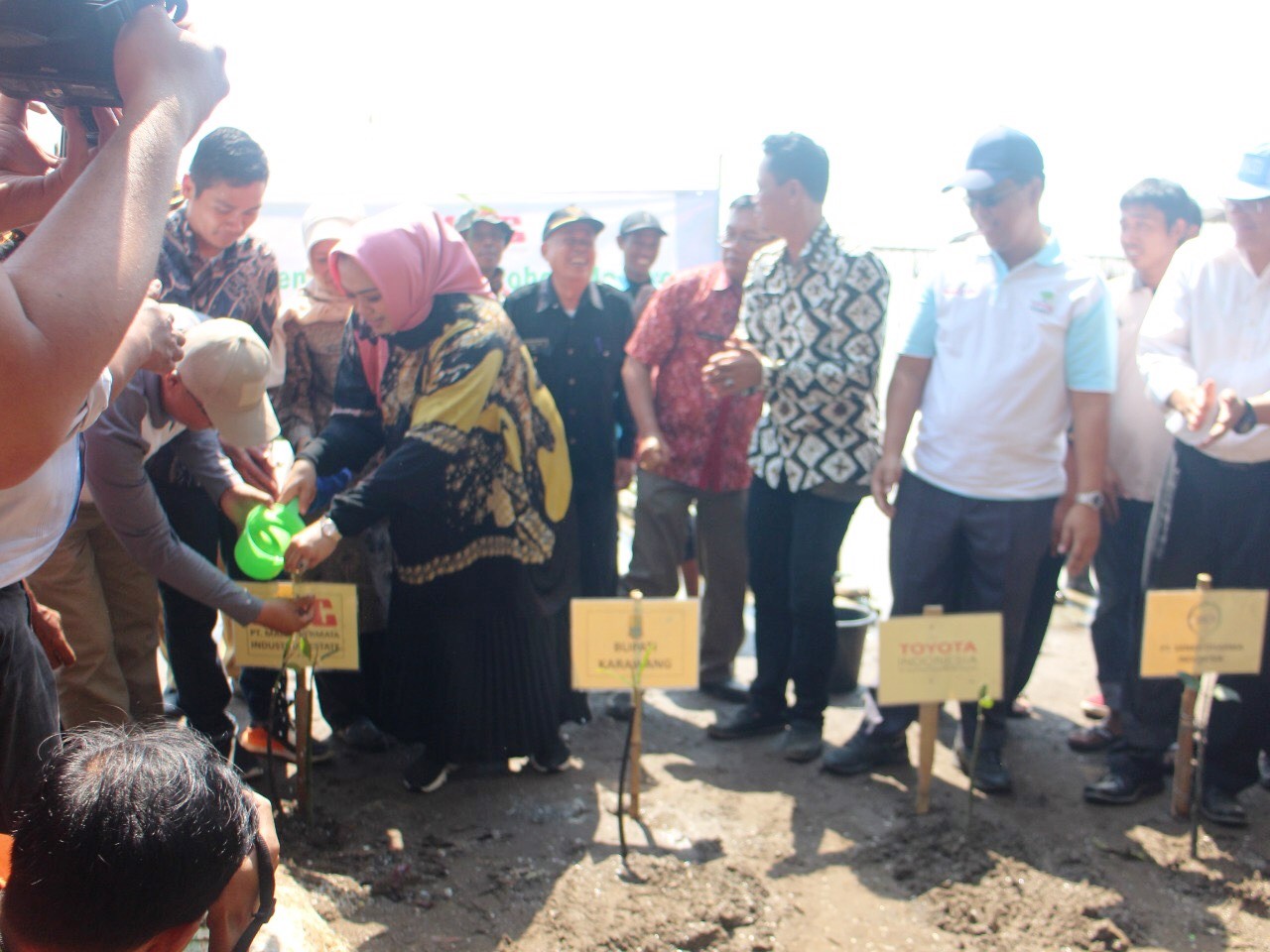 eringati Hari Lingkungan, Pemkab Tanam 40 Ribu Pohon Mangrove