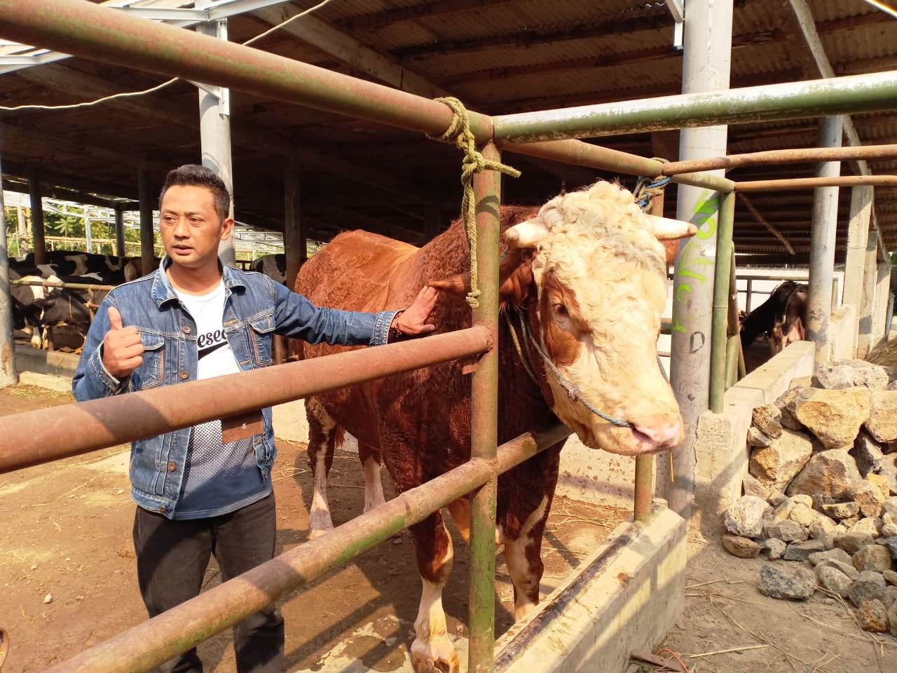 Ana Gugum, Tolak Jual Sapi untuk Presiden Jokowi