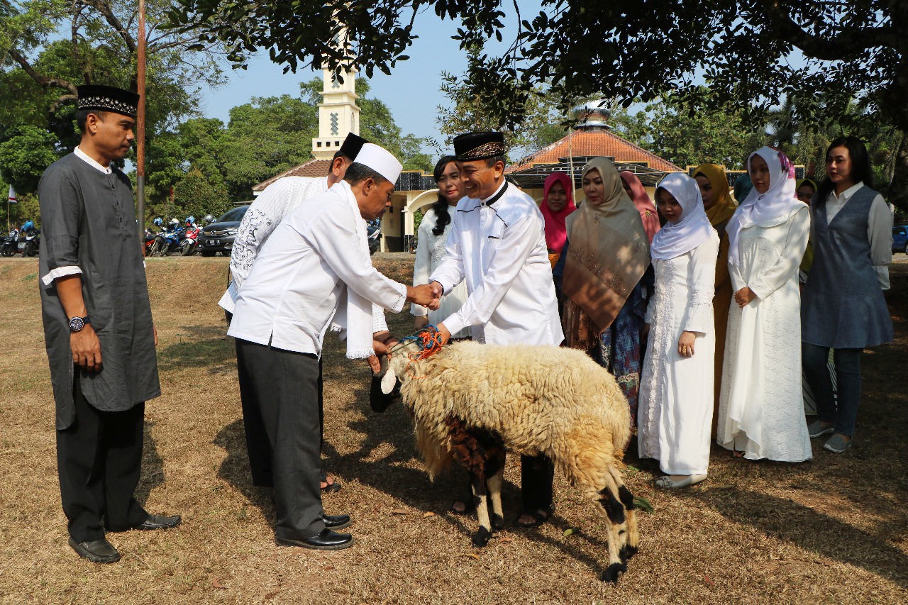 Kurban Cerminan Jejak Nabi Ibrahim AS dan Ismail AS