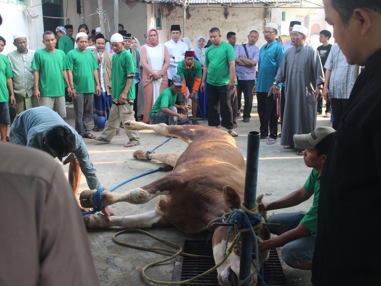 Pemkab Karawang Kurbankan 21 Sapi dan 19 Ekor Domba