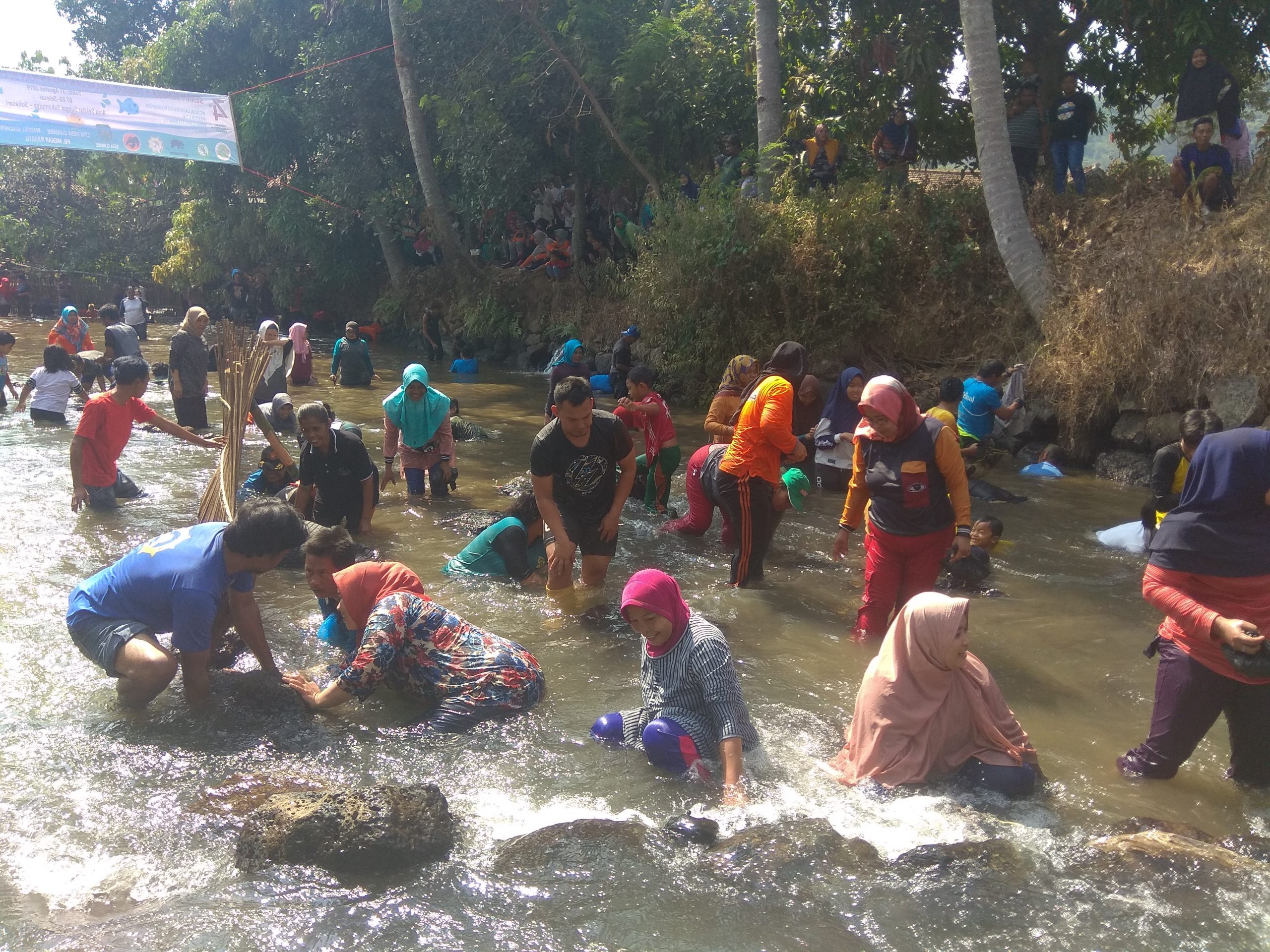 Seru! Ratusan Warga Cijambe Berebut Tangkap Ikan di Acara 'Cacaian Fest 2019'